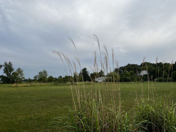 M-60 Drive-In Theatre - July 2 2022 Photo (newer photo)
